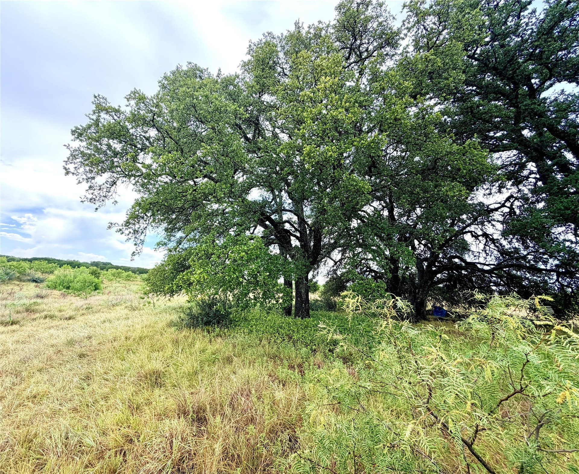 10.5 acres in Mills County - photo 16