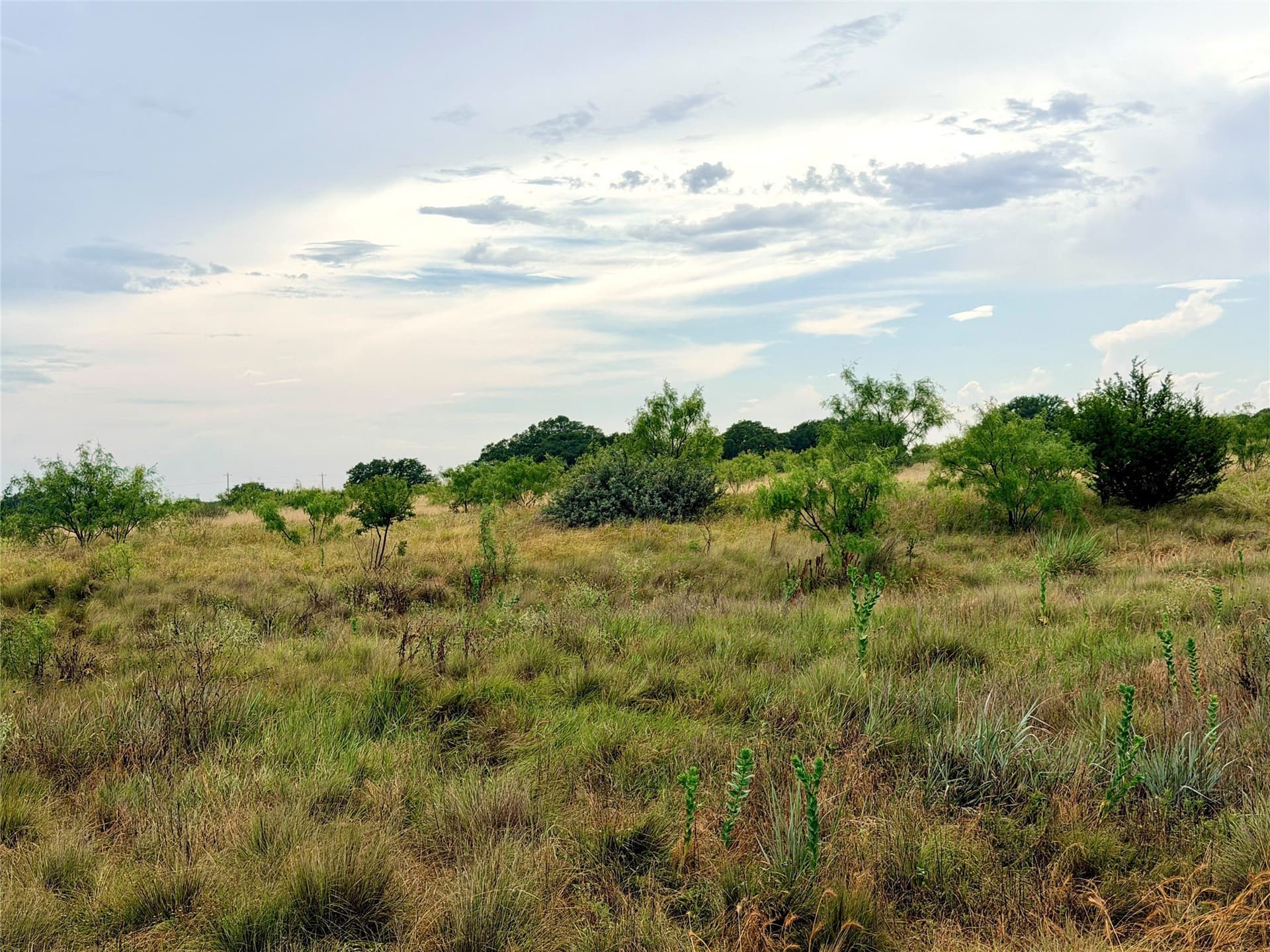 10.5 acres in Mills County - photo 19