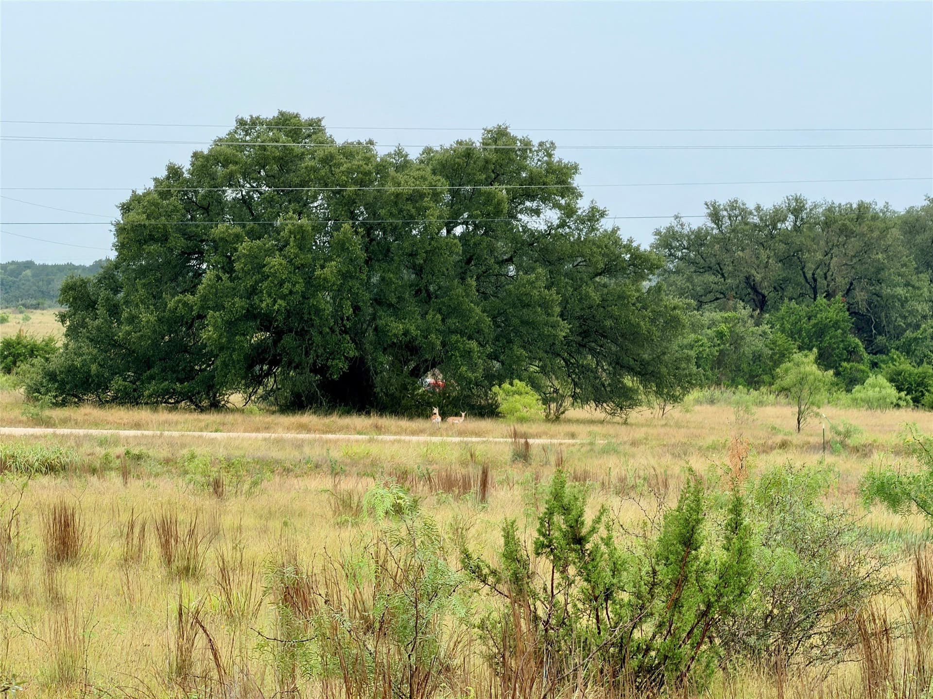 10.5 acres in Mills County - photo 18