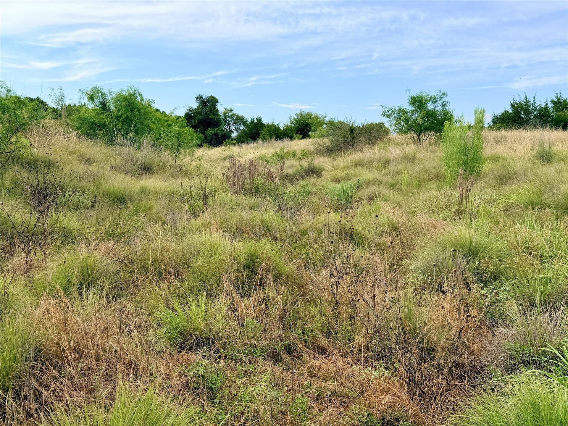 10.5 acres in Mills County - photo 33