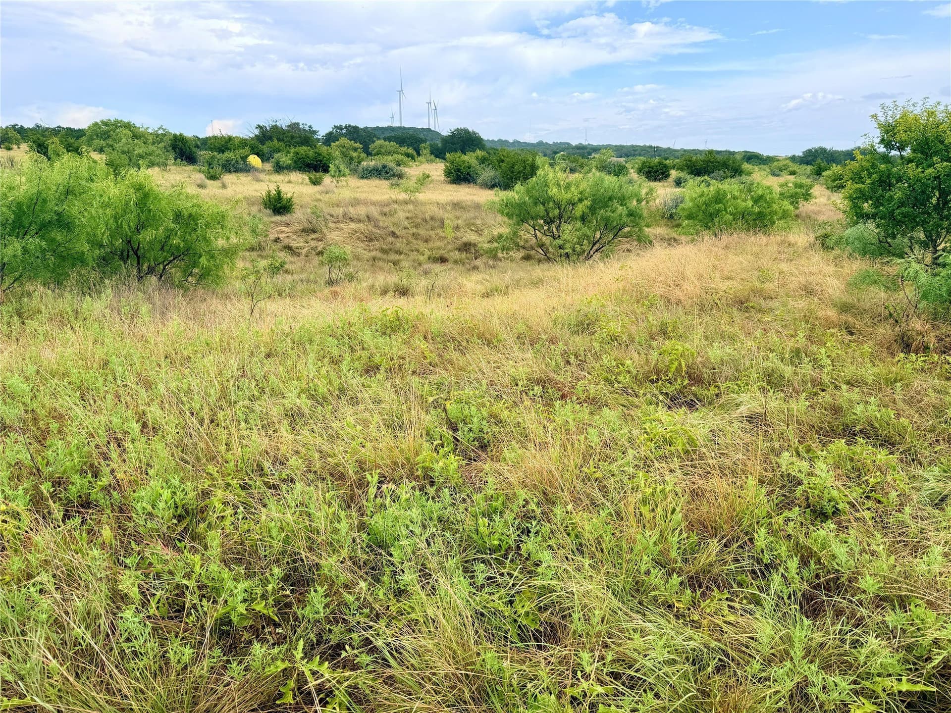 10.5 acres in Mills County - photo 13
