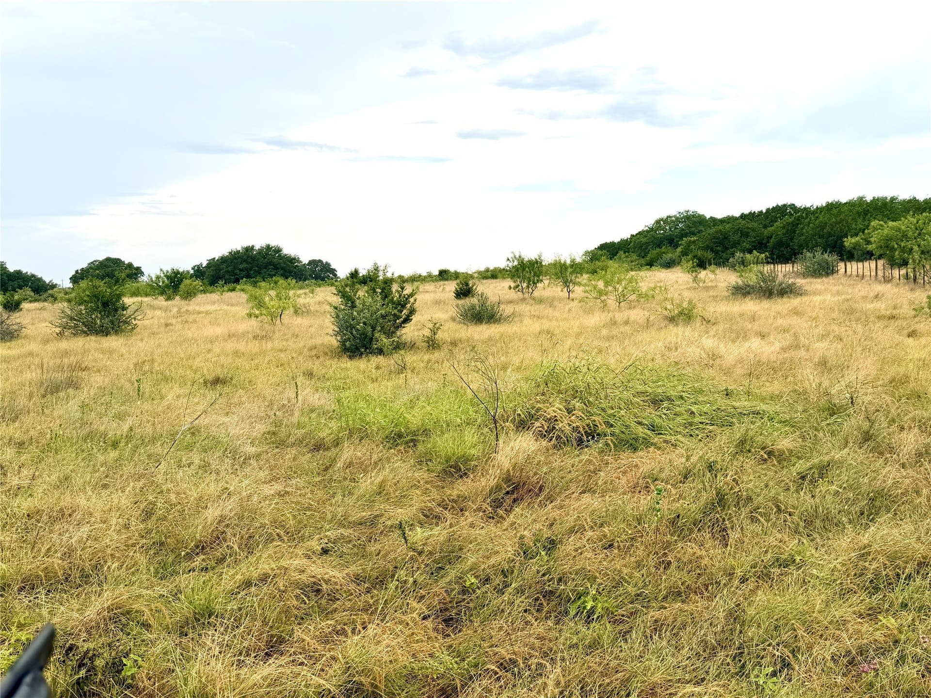 10.5 acres in Mills County - photo 9