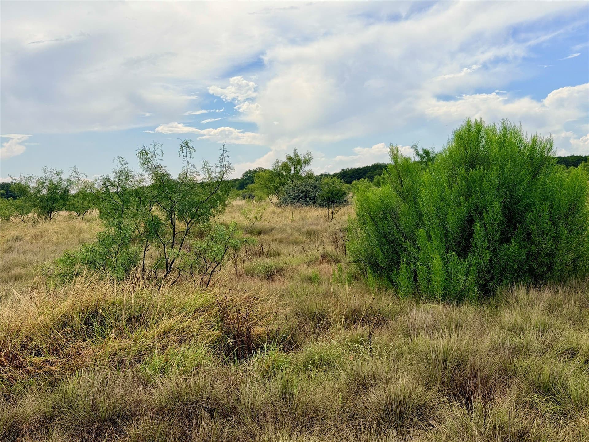 10.5 acres in Mills County - photo 22