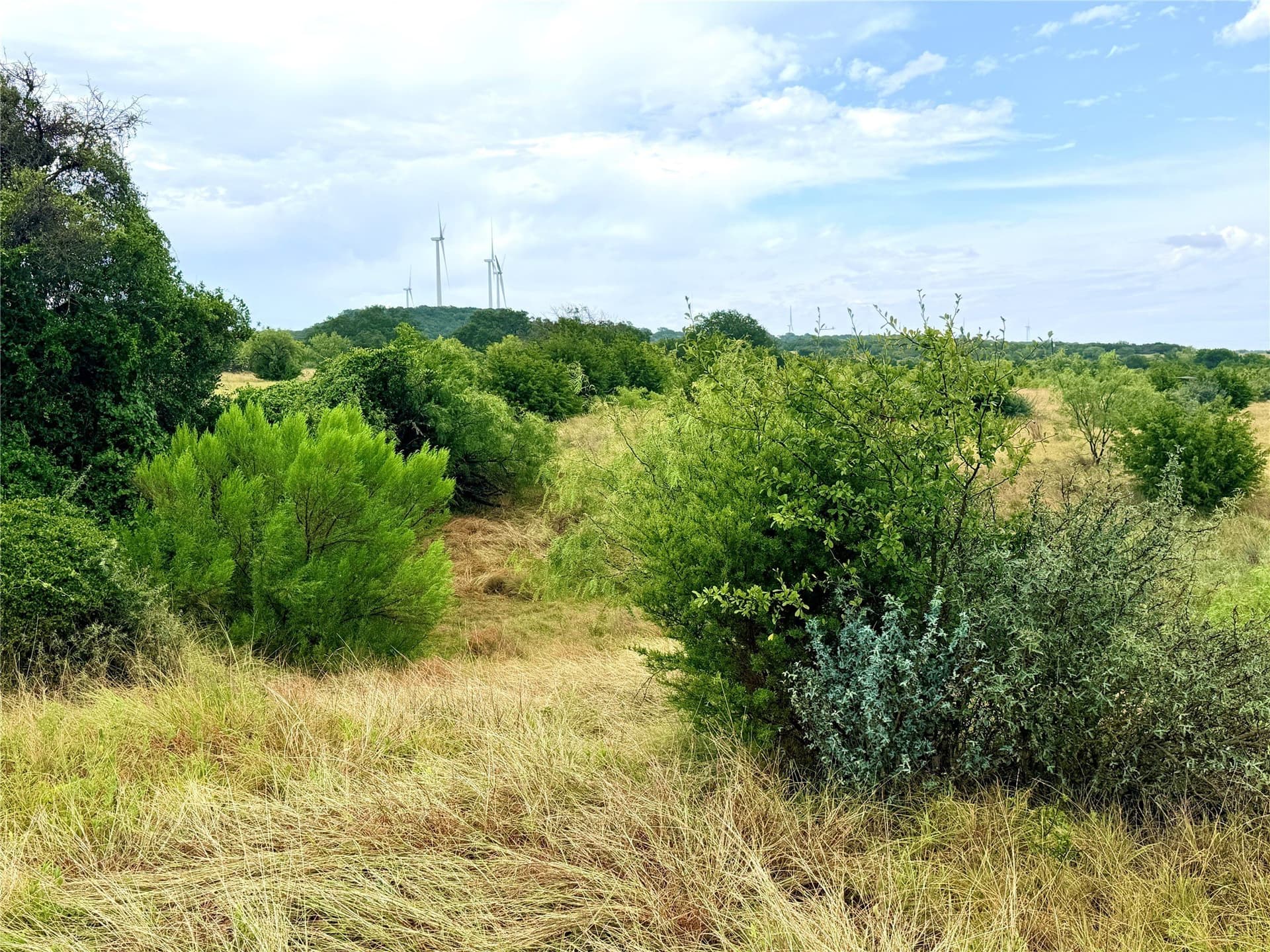 10.5 acres in Mills County - photo 10