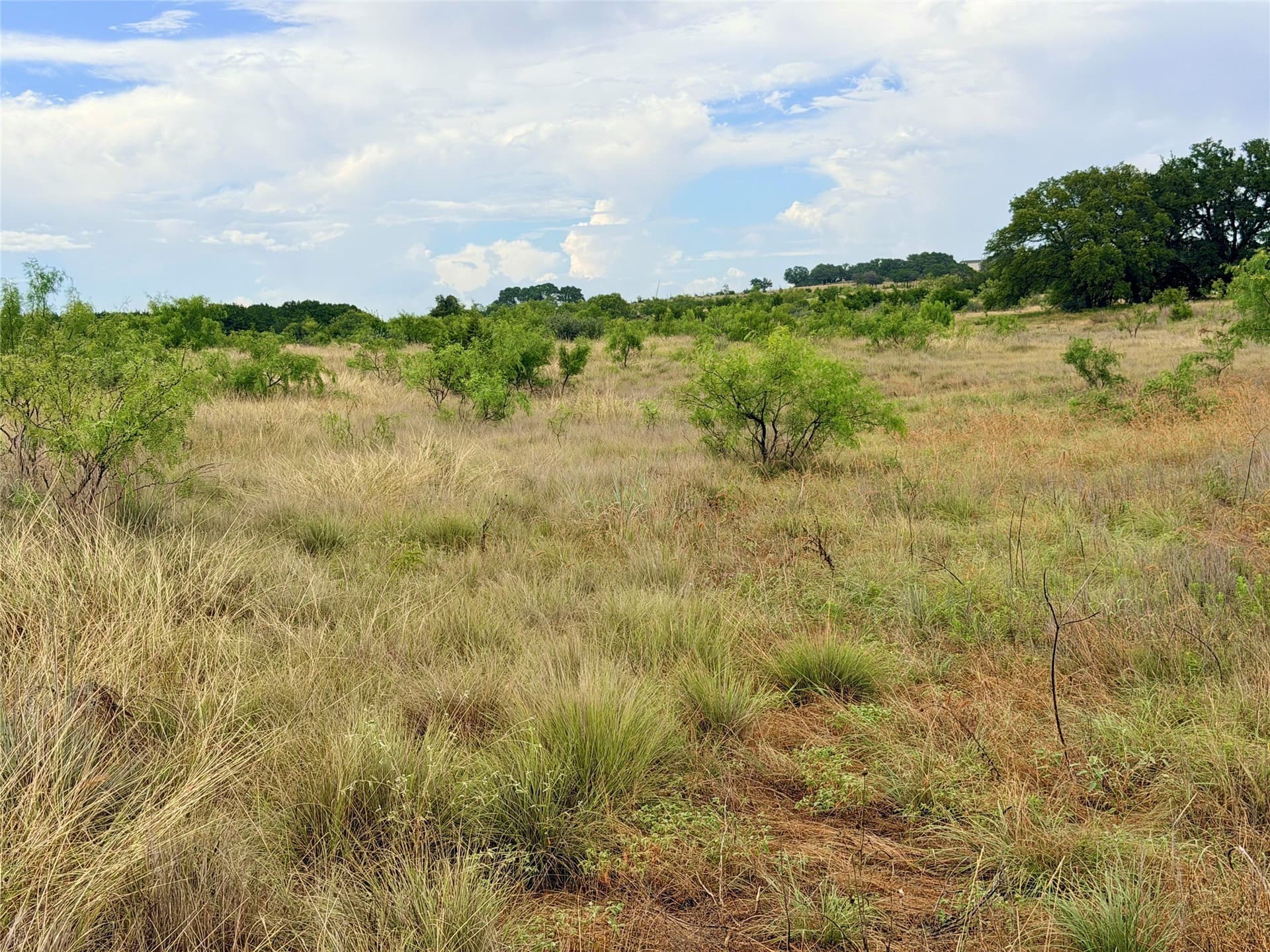 10.5 acres in Mills County - photo 26