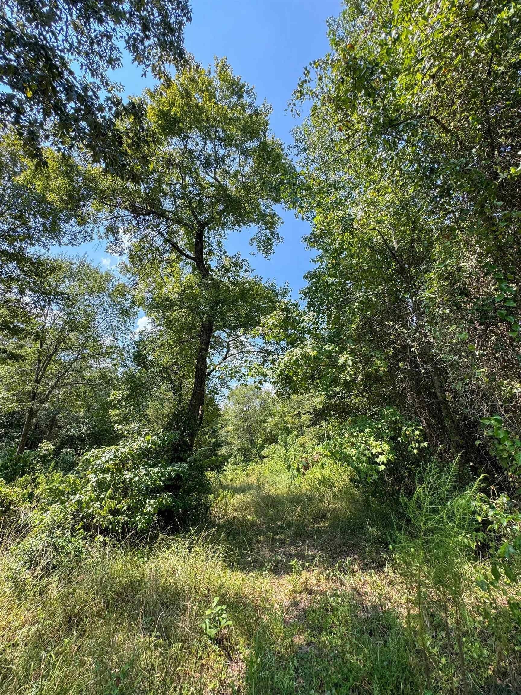 22.08 acres in Marion County - photo 14