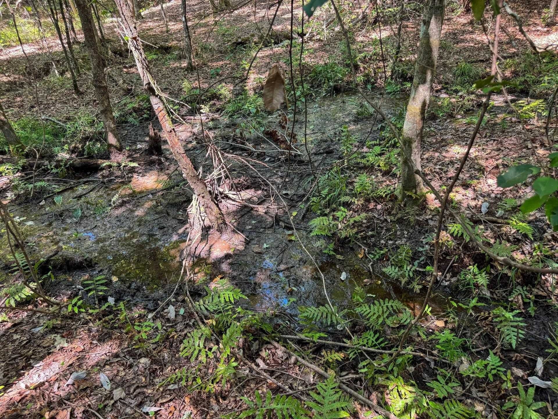 22.08 acres in Marion County - photo 24