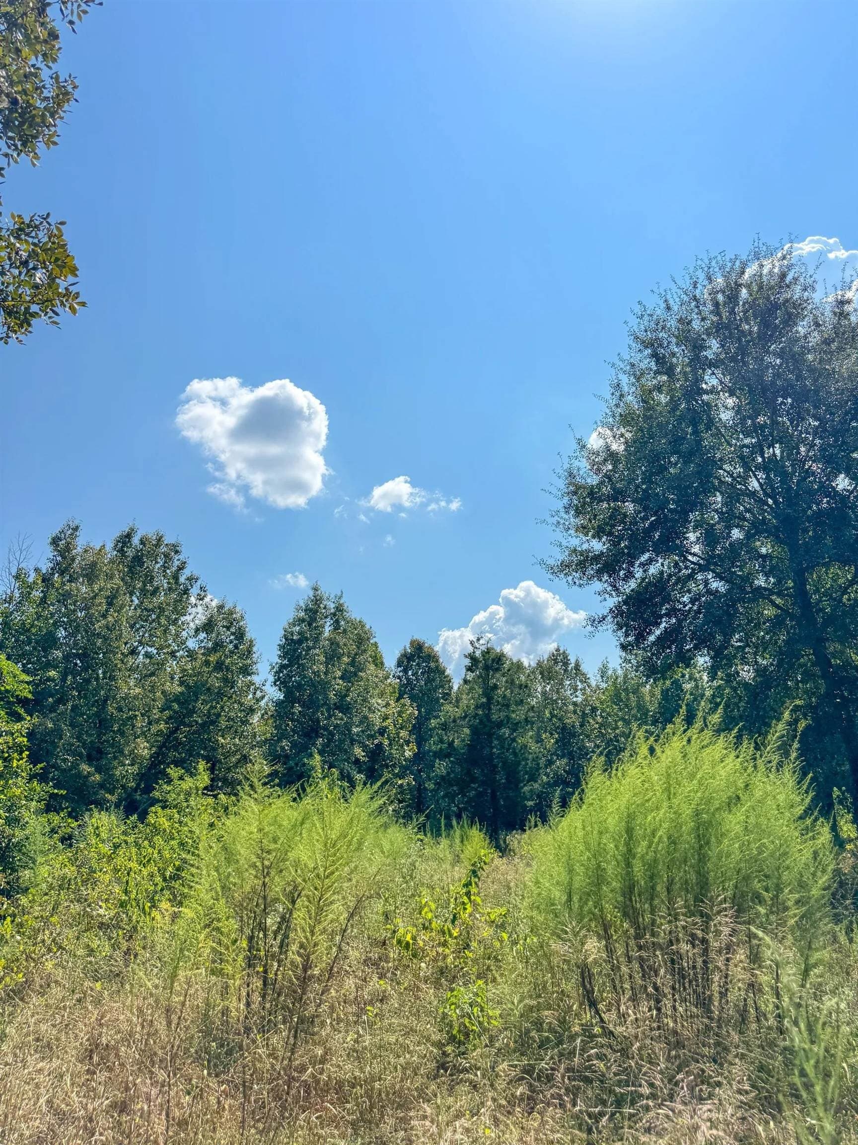 22.08 acres in Marion County - photo 27