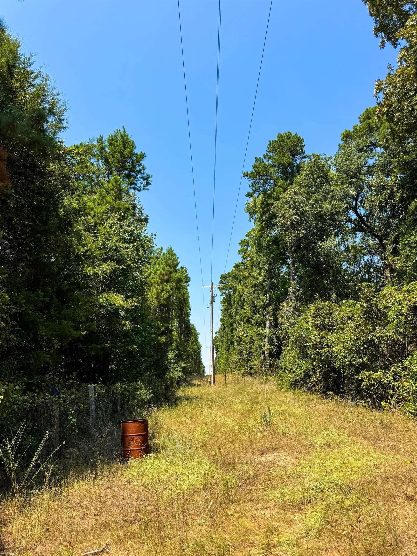 22.08 acres in Marion County - photo 3