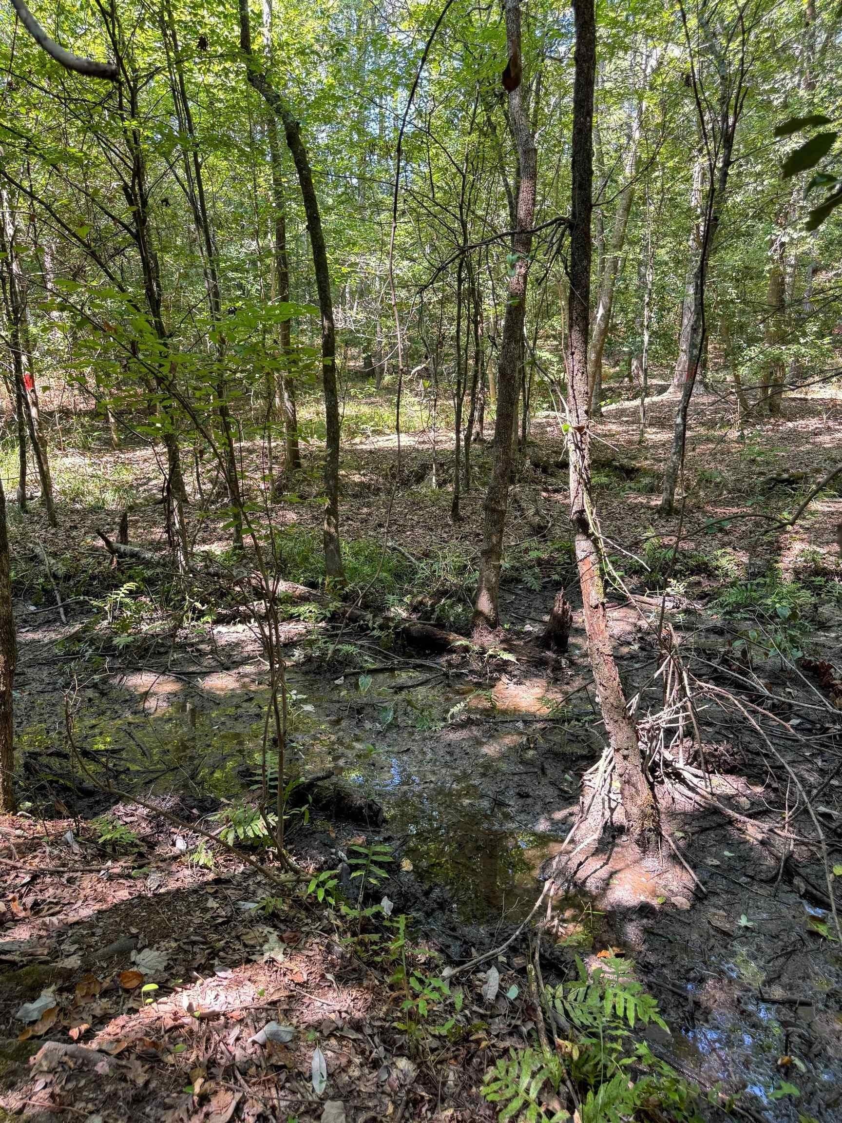 22.08 acres in Marion County - photo 23