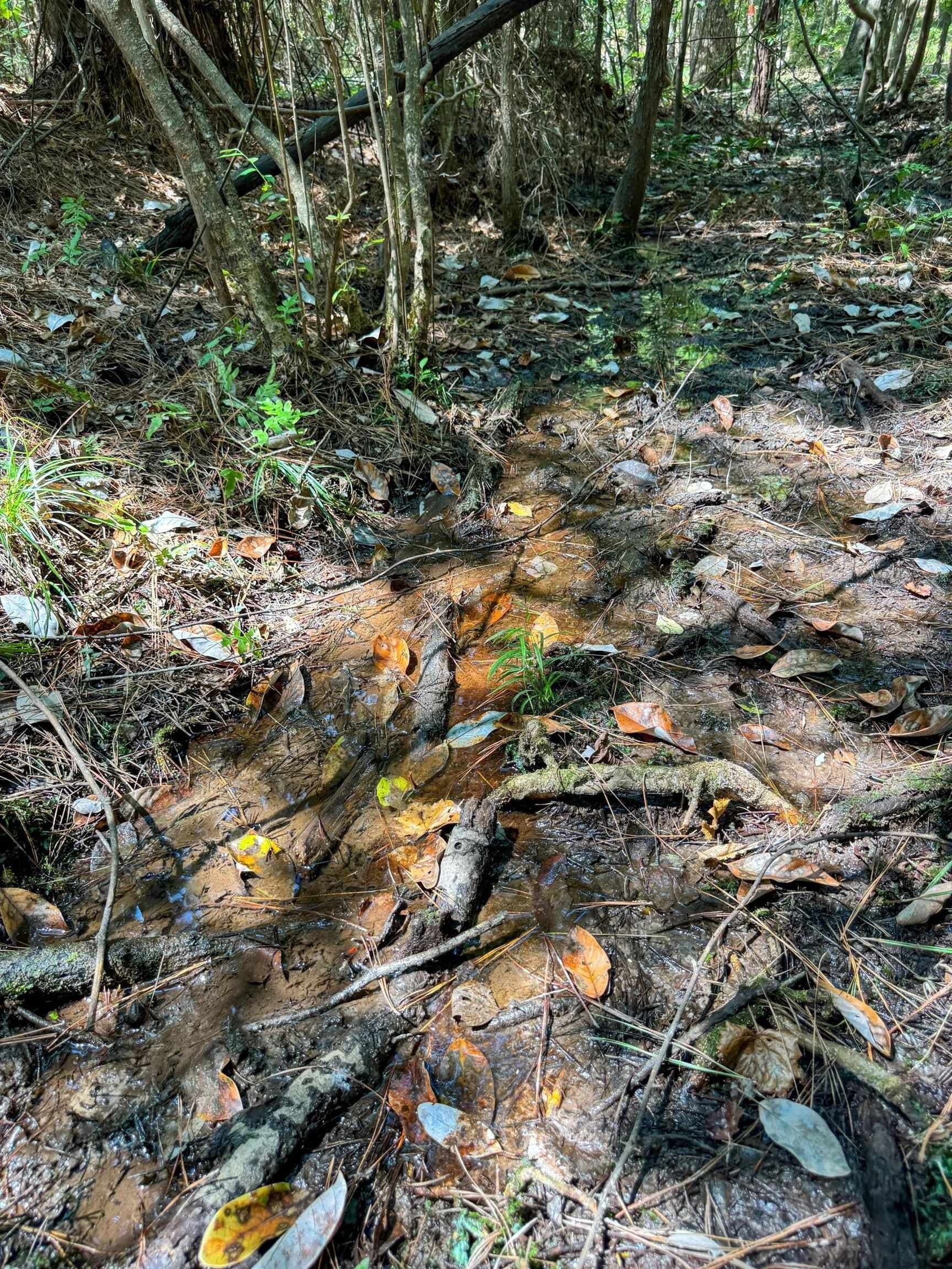 22.08 acres in Marion County - photo 20