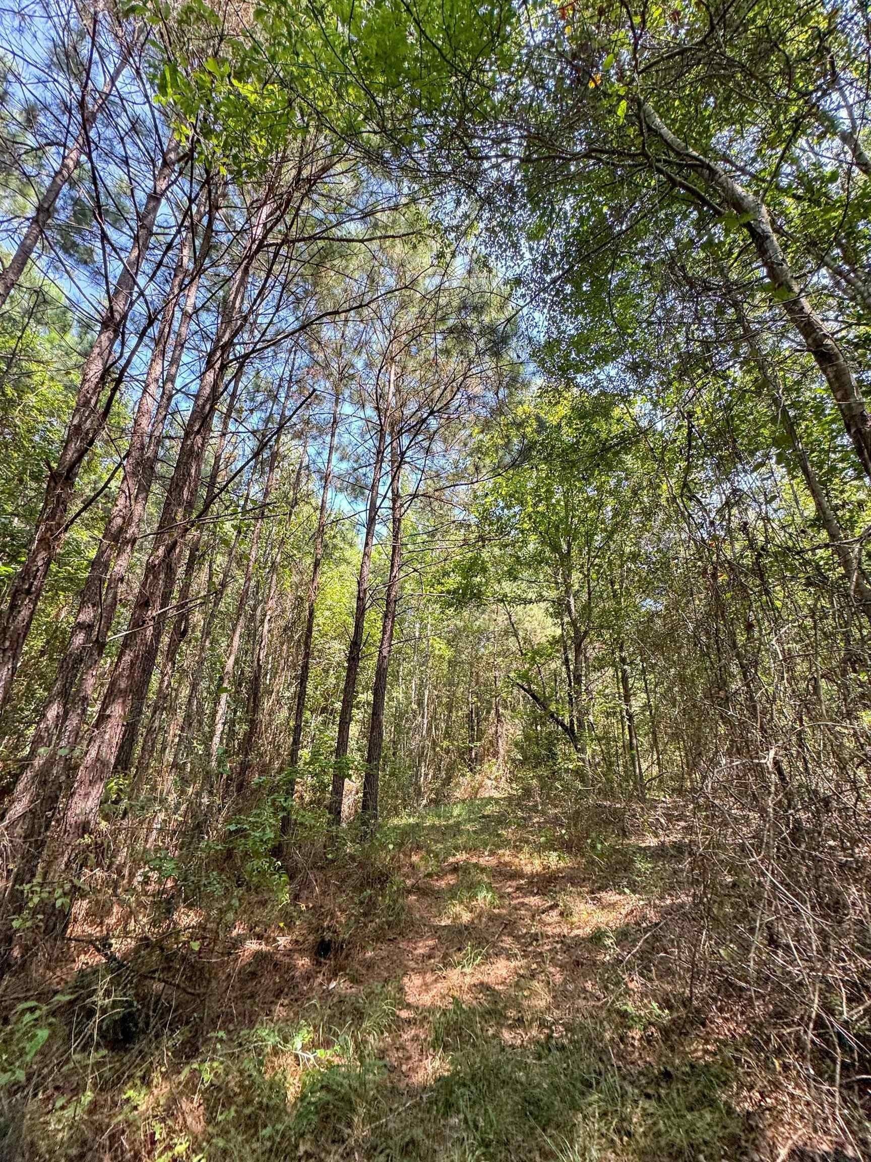 22.08 acres in Marion County - photo 25