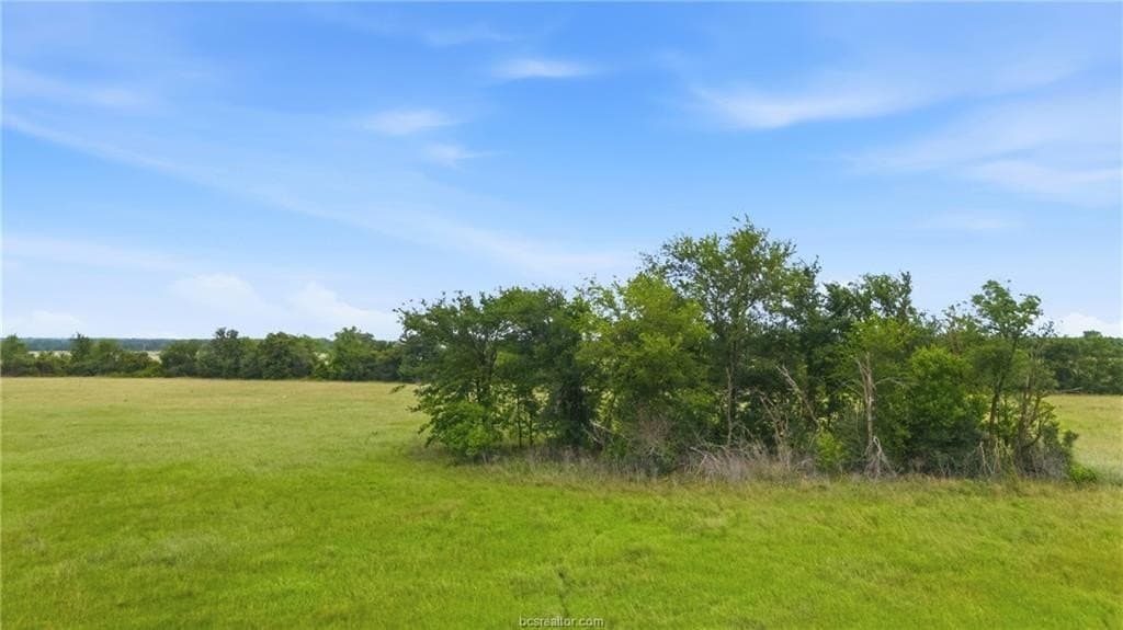 4.73 acres in Leon County - photo 5