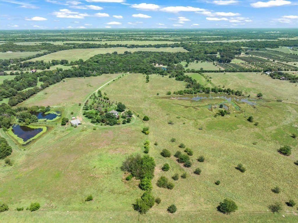 24.54 acres in Van Zandt County gallery image 4