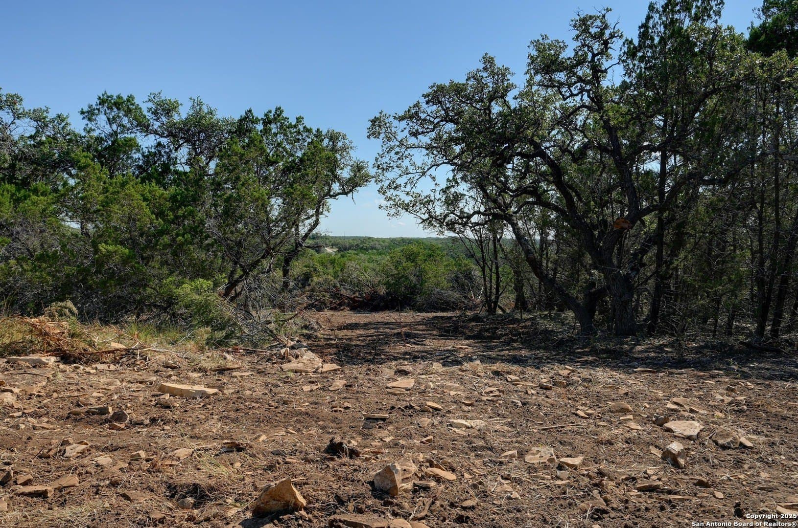 11.99 acres in Blanco County gallery image 3