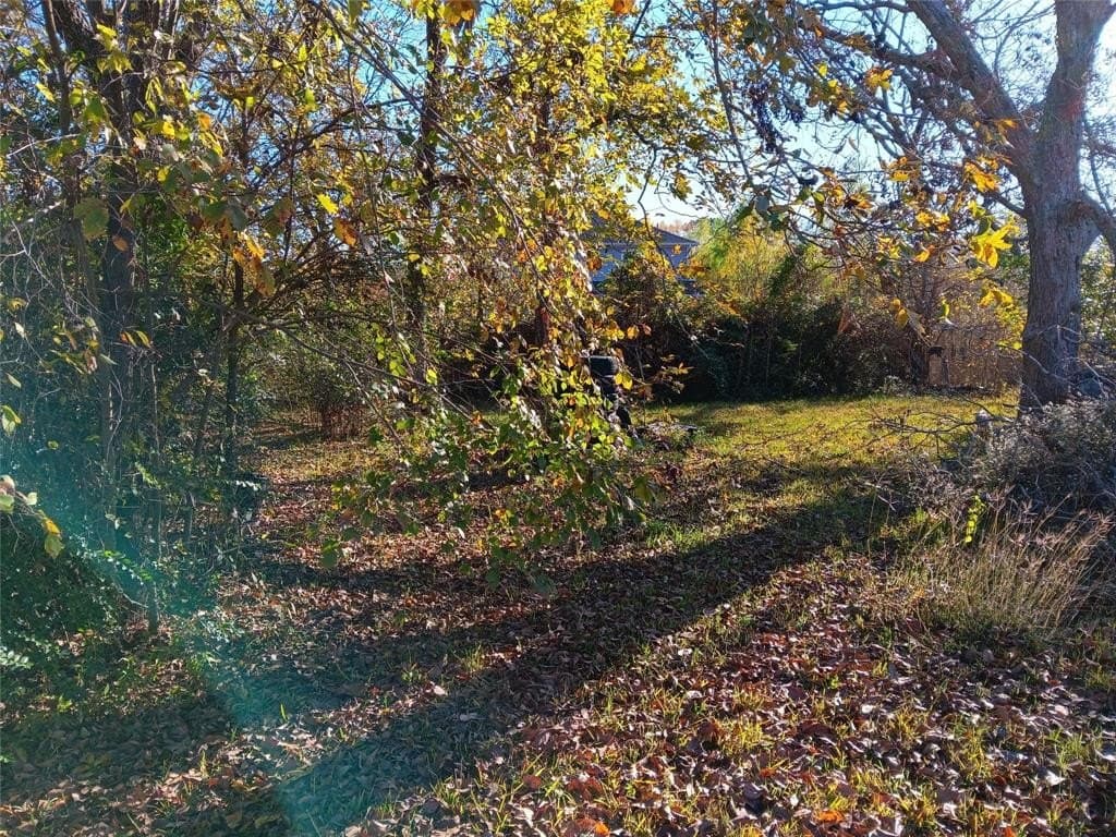 0.16 acres in Harris County gallery image 3