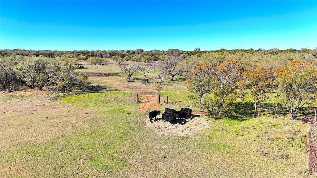 5 acres in Palo Pinto County gallery image 4