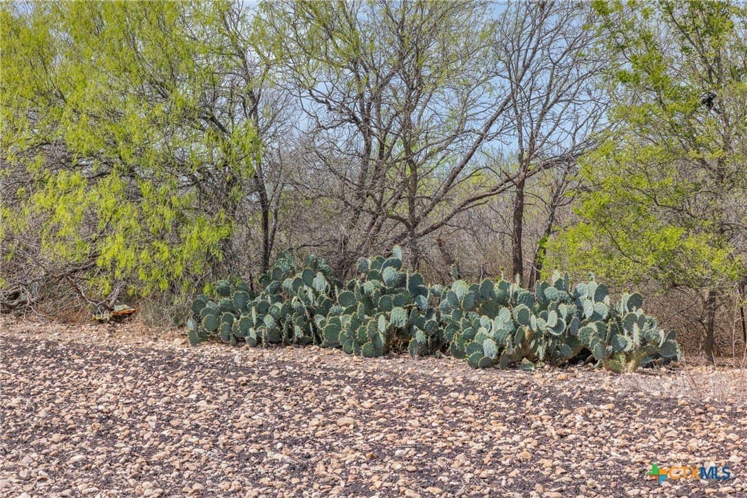 95.72 acres in Guadalupe County - photo 35