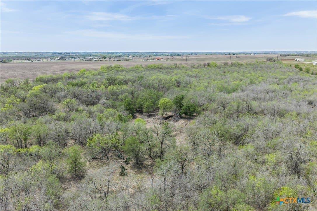 95.72 acres in Guadalupe County - photo 16