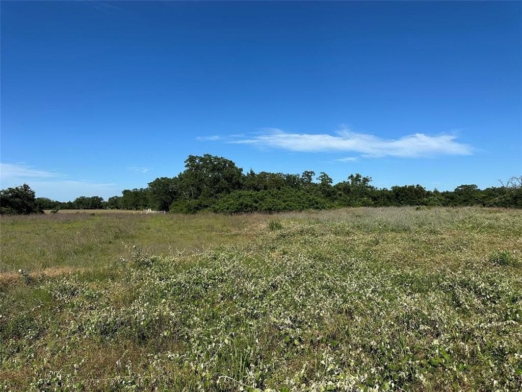 15.5 acres in Freestone County featured view