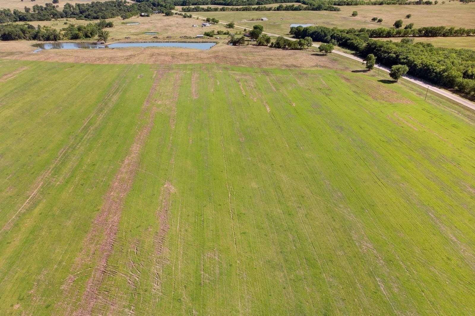 184.52 acres in Hopkins County gallery image 2
