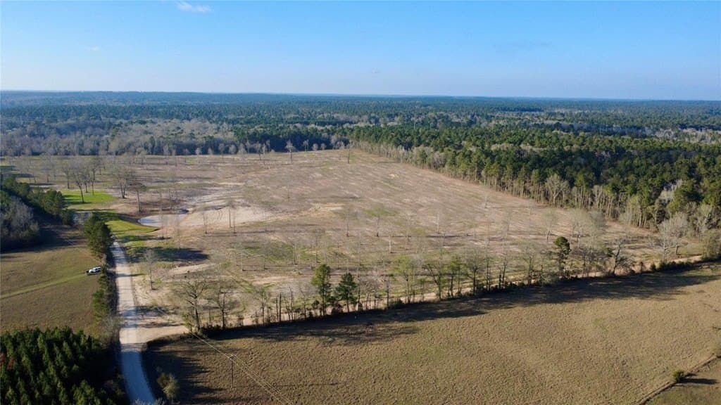 62.97 acres in HOUSTON County gallery image 3