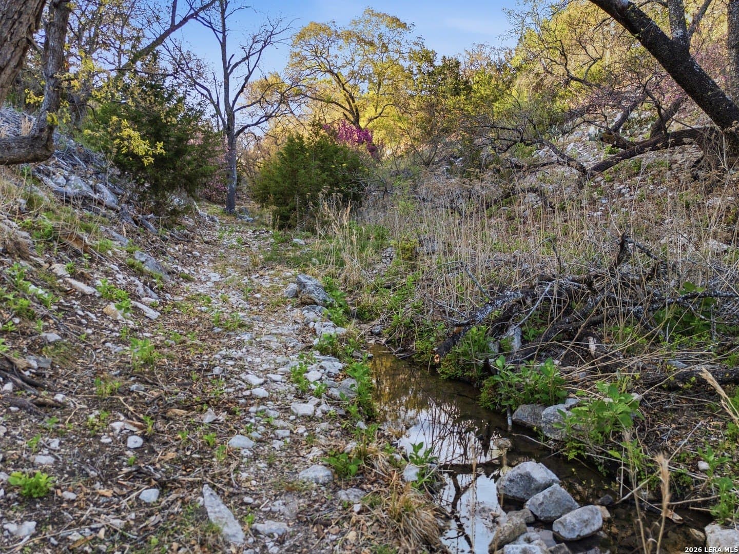 50.01 acres in Kerr County - photo 74