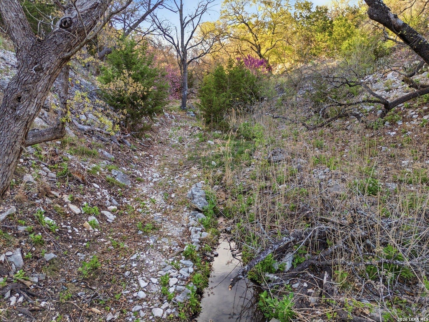 50.01 acres in Kerr County - photo 73