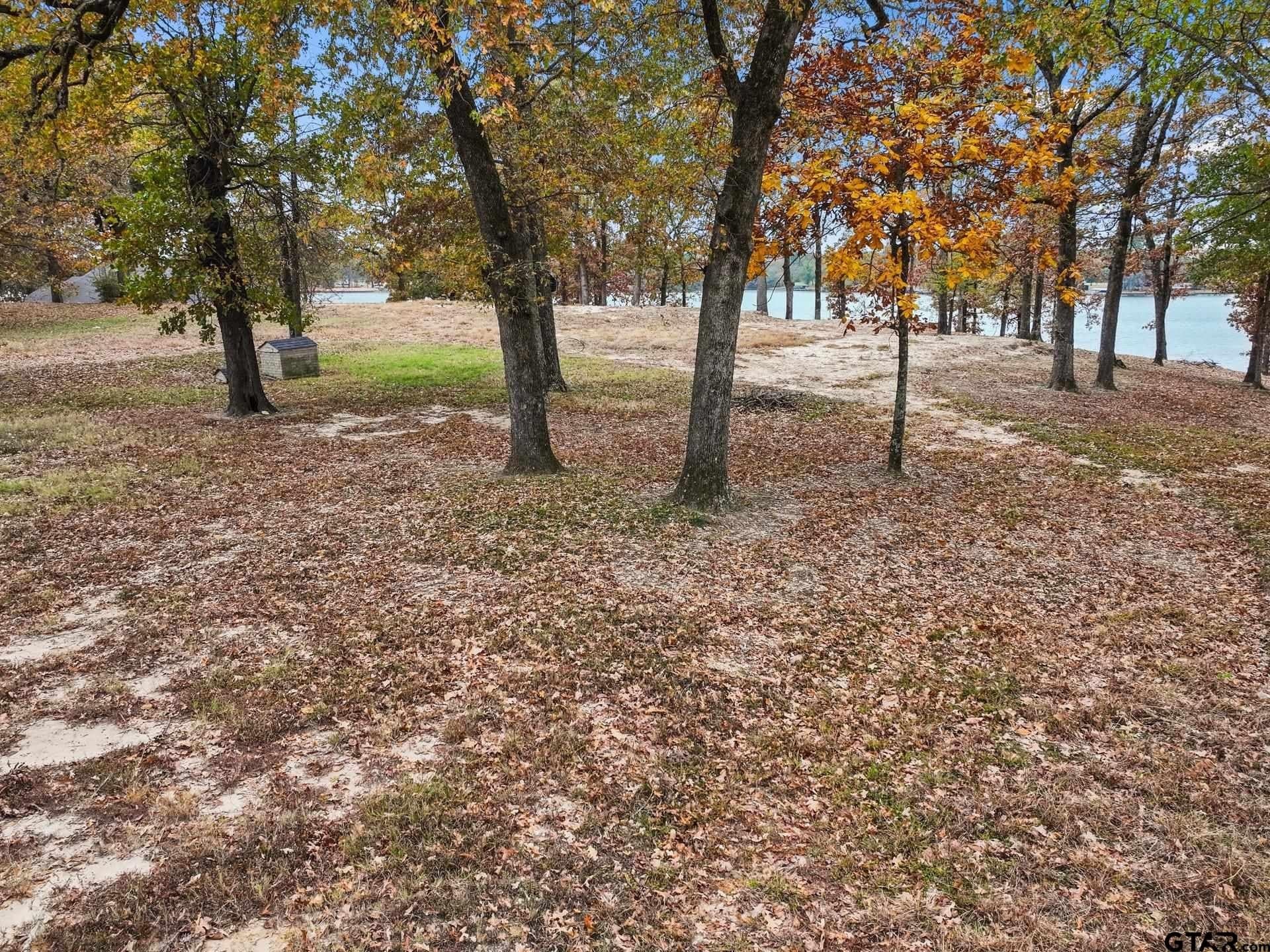 0.51 acres in Camp County - photo 14