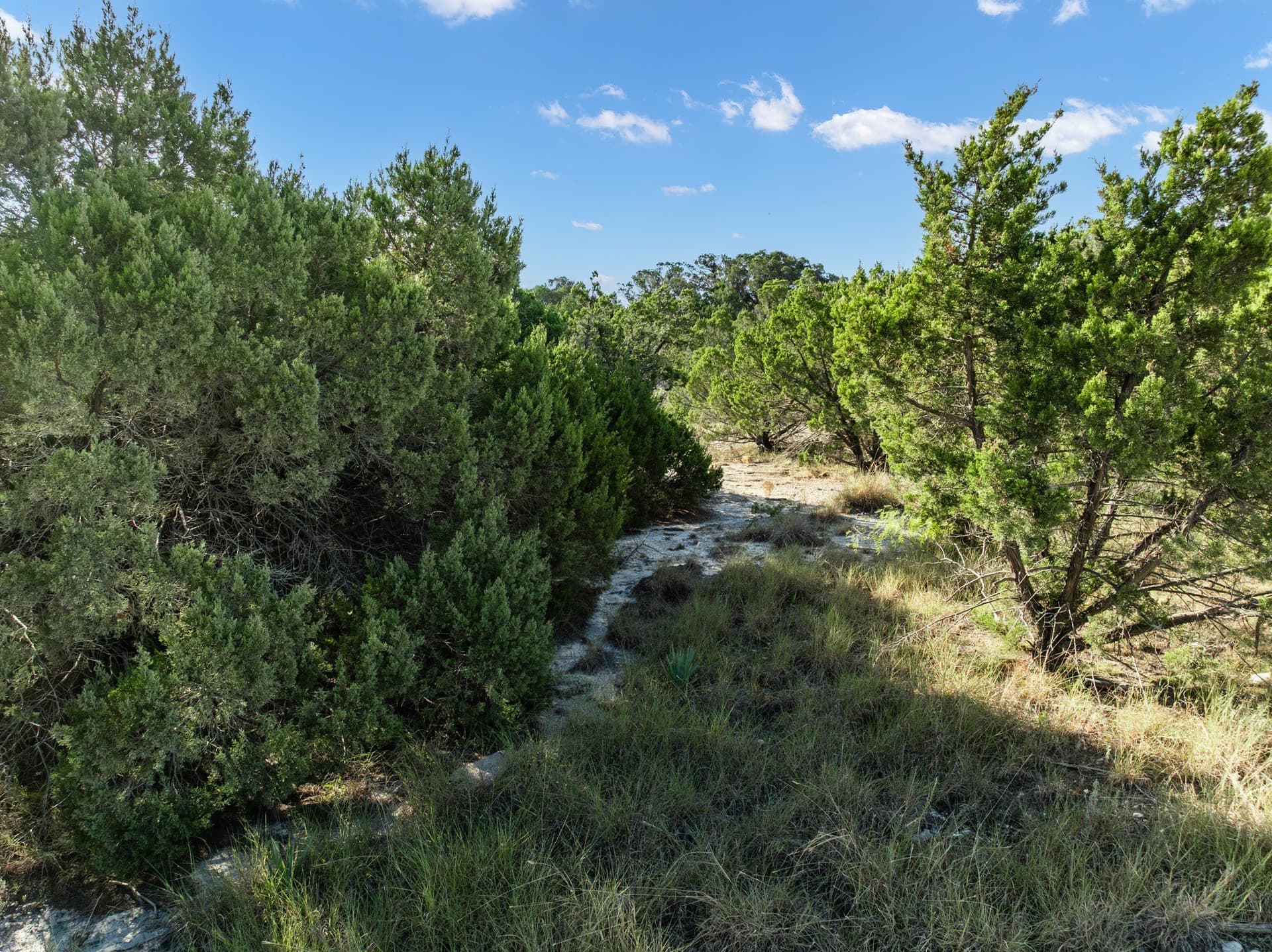 3.41 acres in Bosque County - photo 4