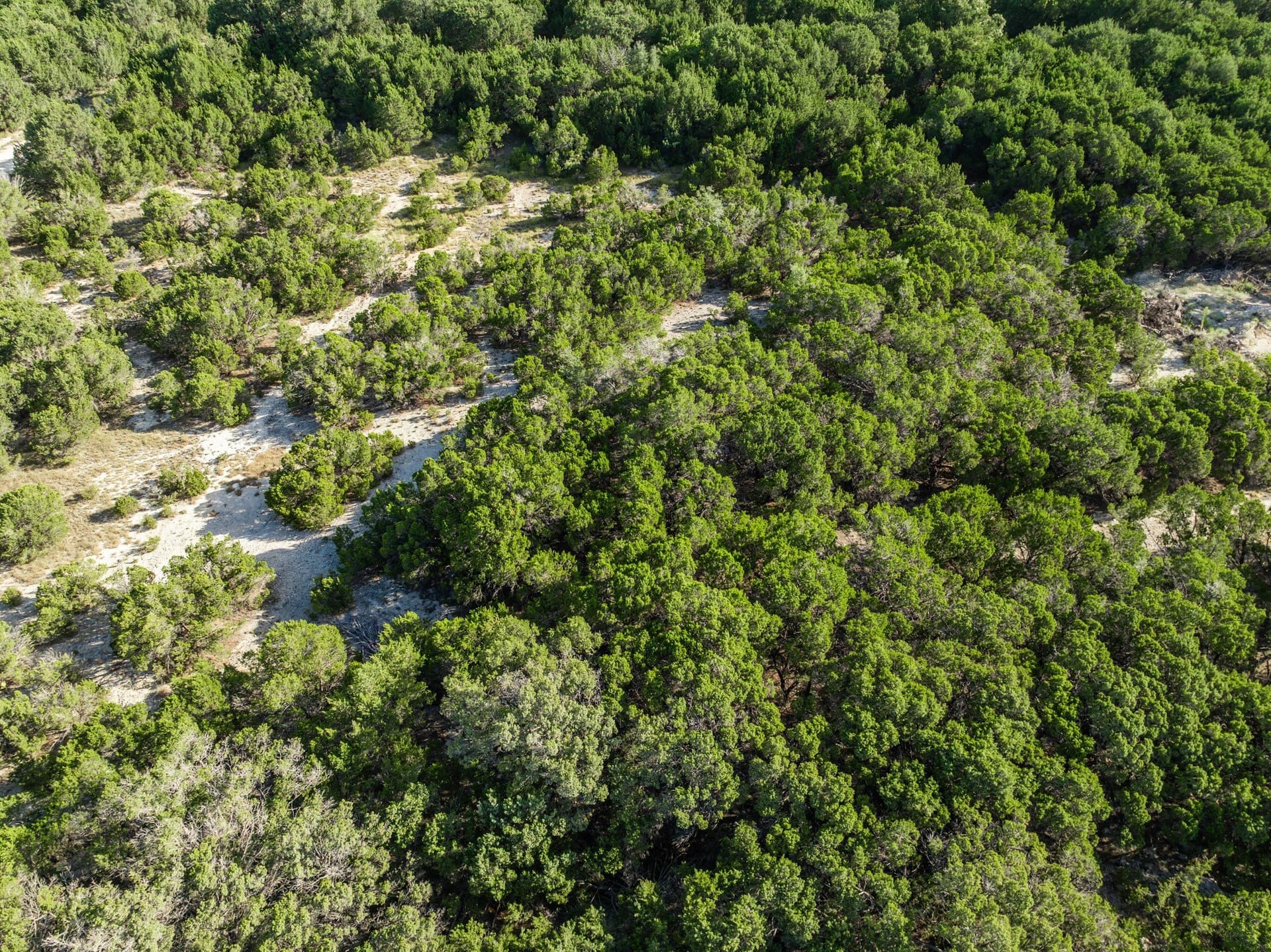 3.41 acres in Bosque County - photo 37
