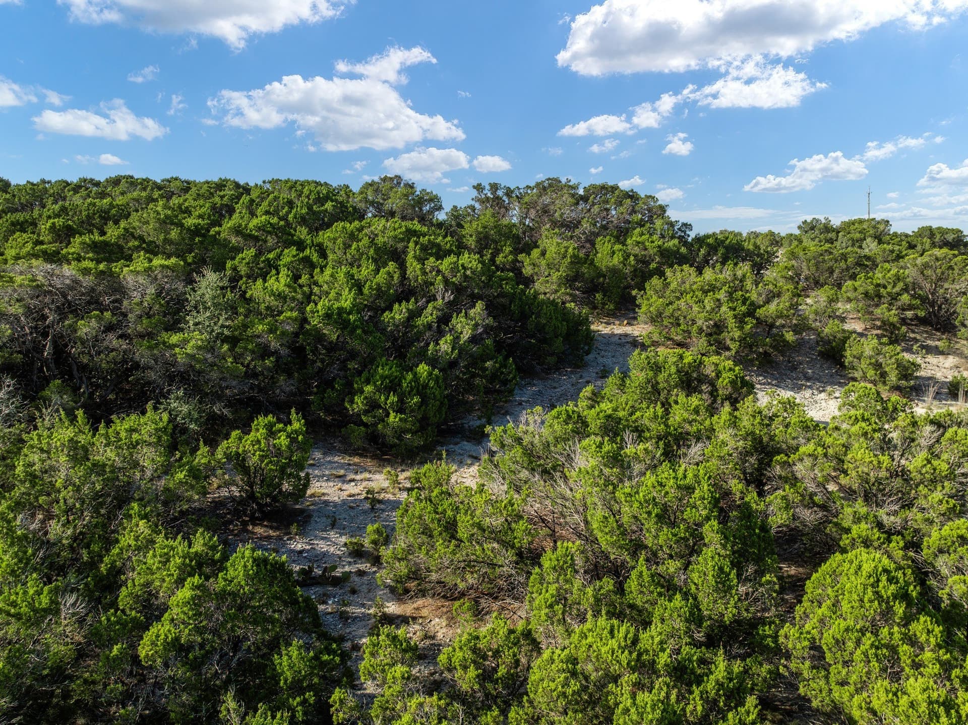 3.41 acres in Bosque County - photo 22