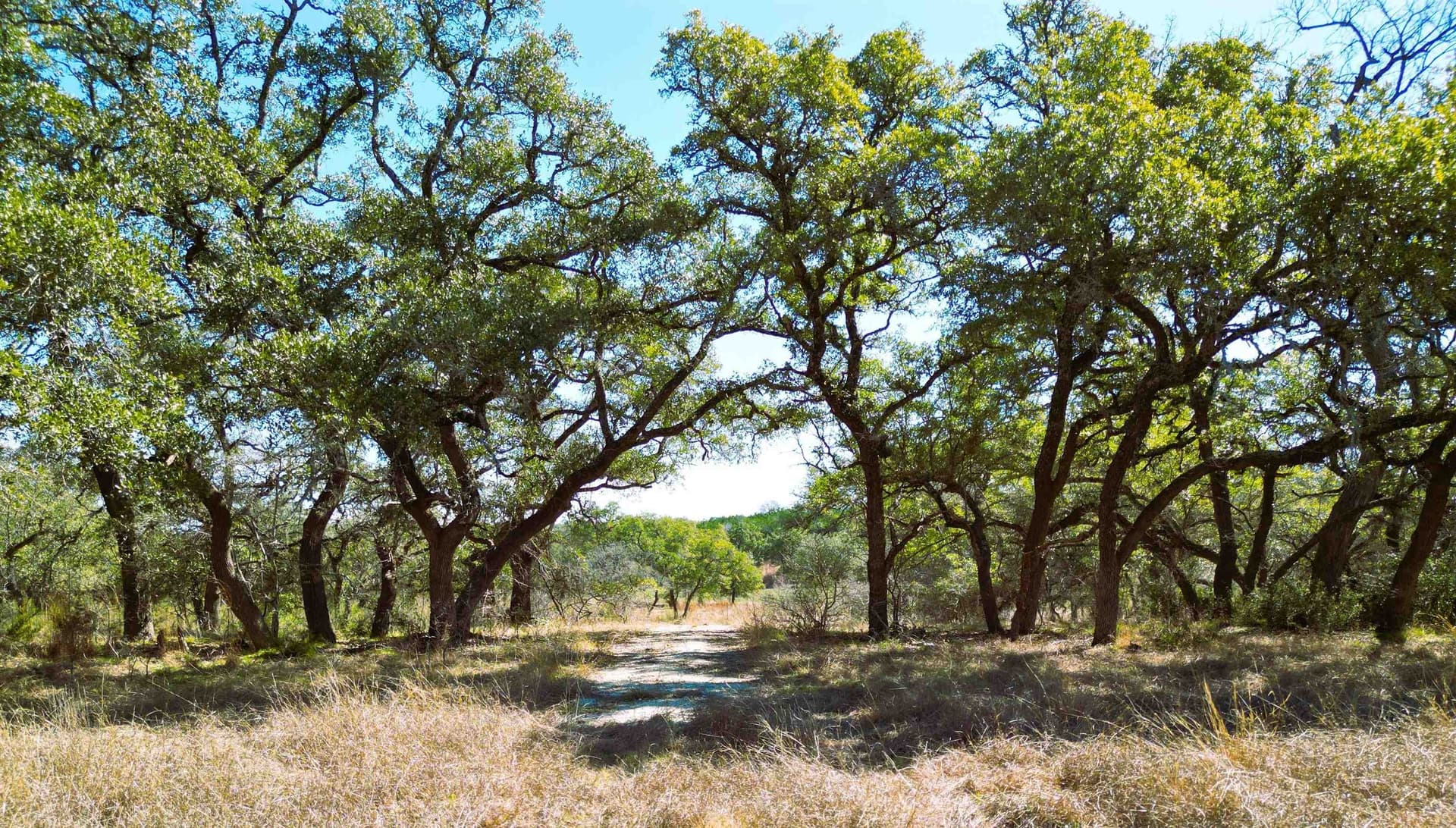 77.15 acres in Blanco County