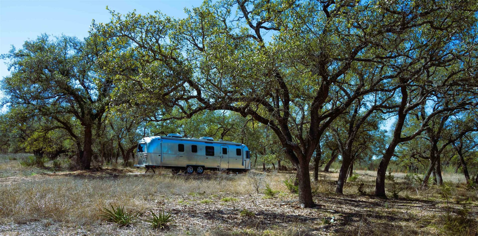 77.15 acres in Blanco County gallery image 4