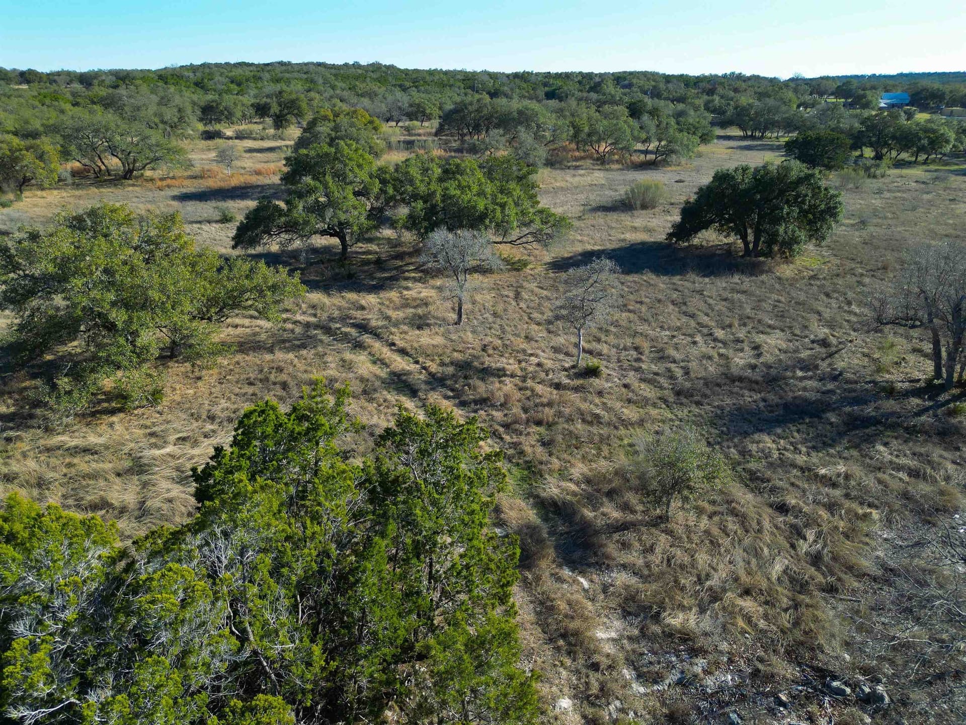 77.15 acres in Blanco County featured view