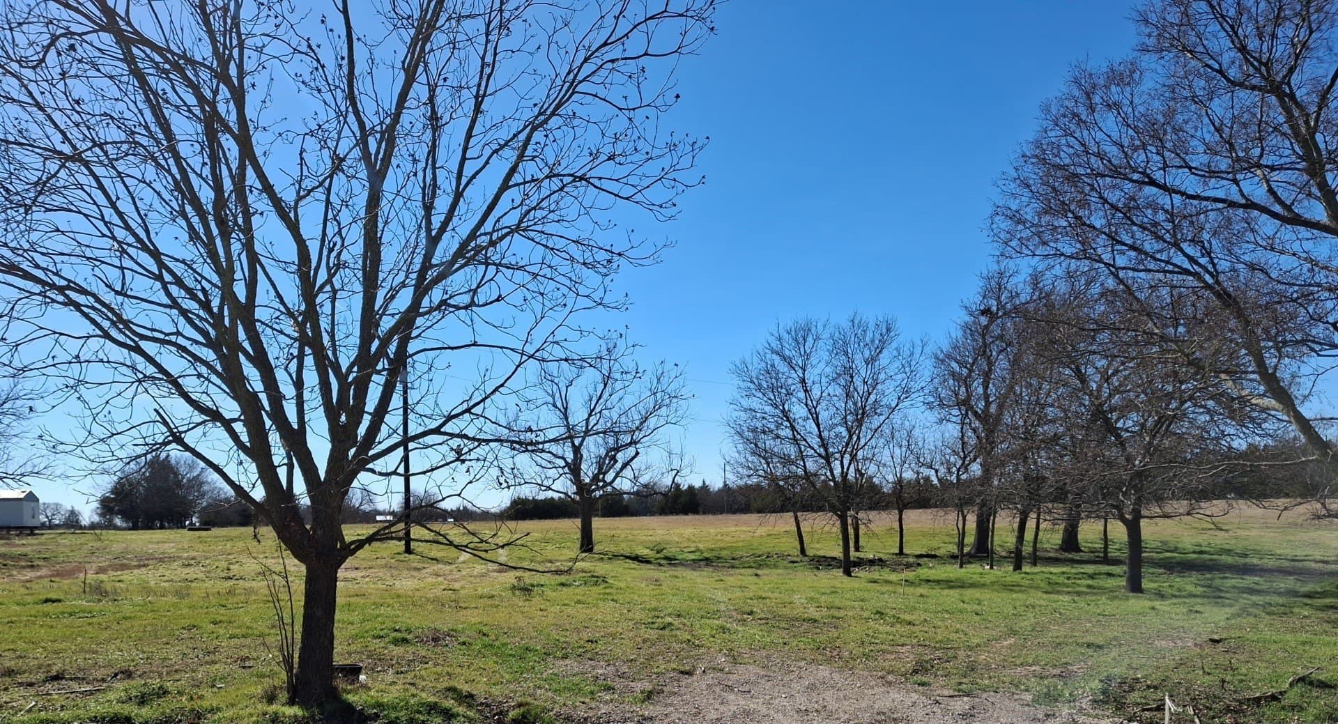 1.31 acres in Grayson County - photo 2