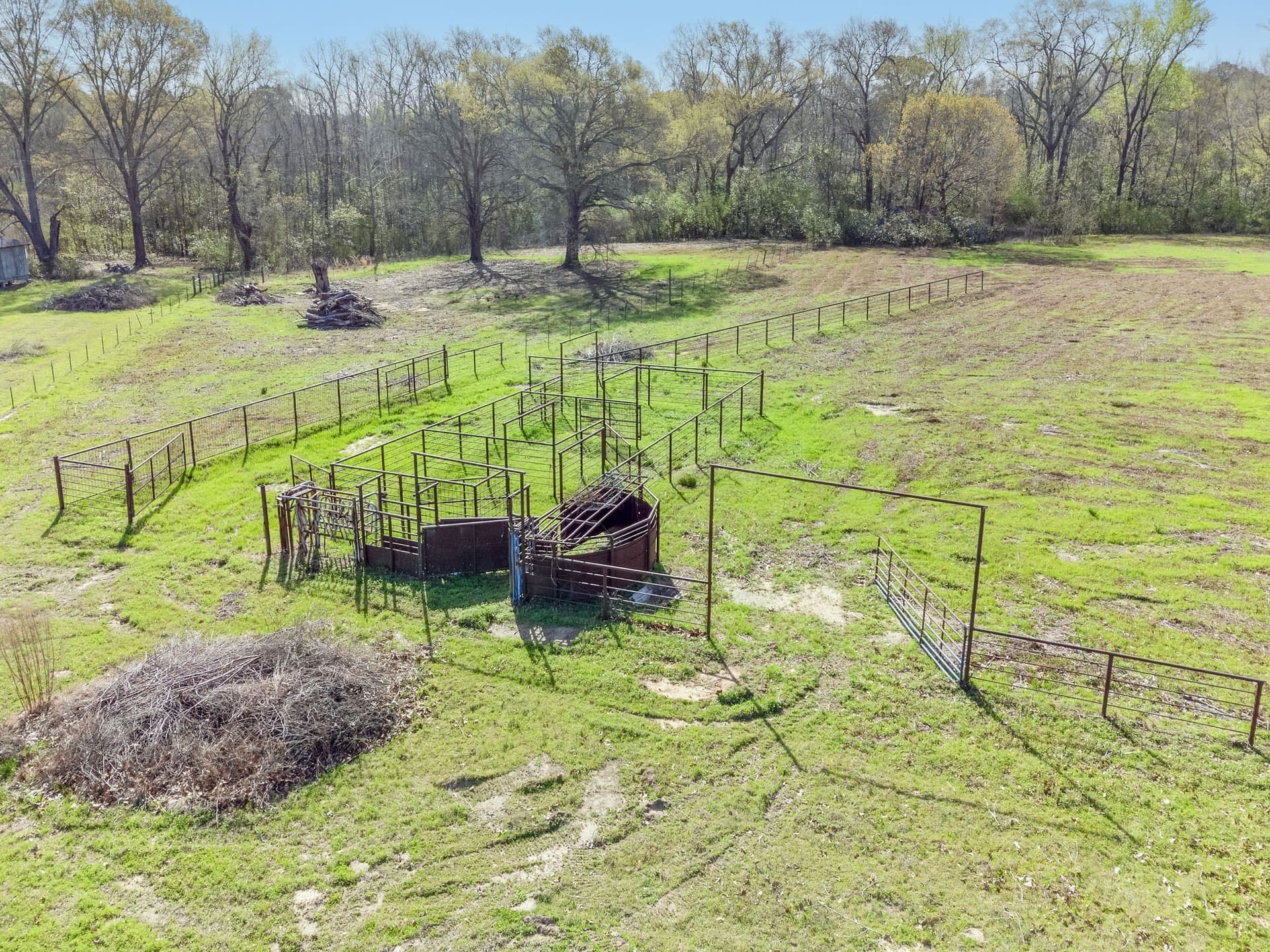 54 acres in Upshur County gallery image 3