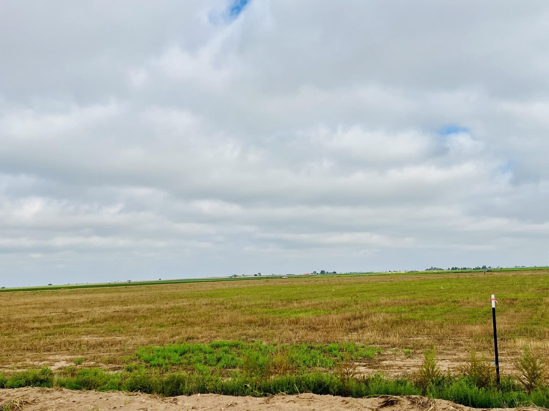 11.1 acres in Hockley County gallery image 2