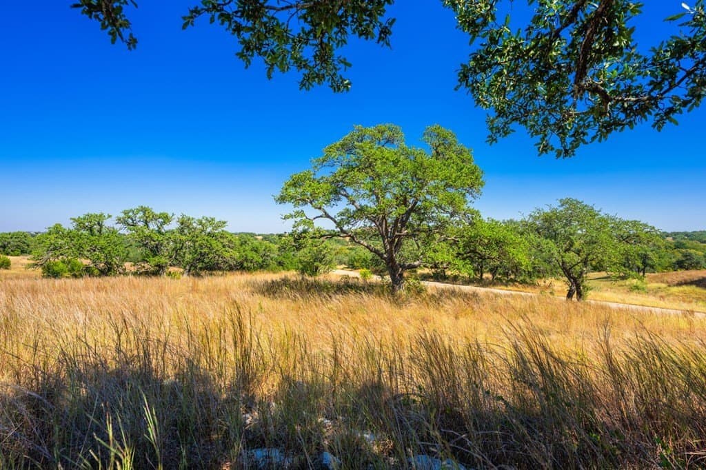 5.08 acres in Blanco County - photo 8