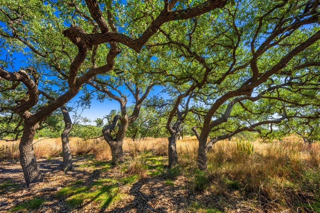 5.08 acres in Blanco County - photo 21