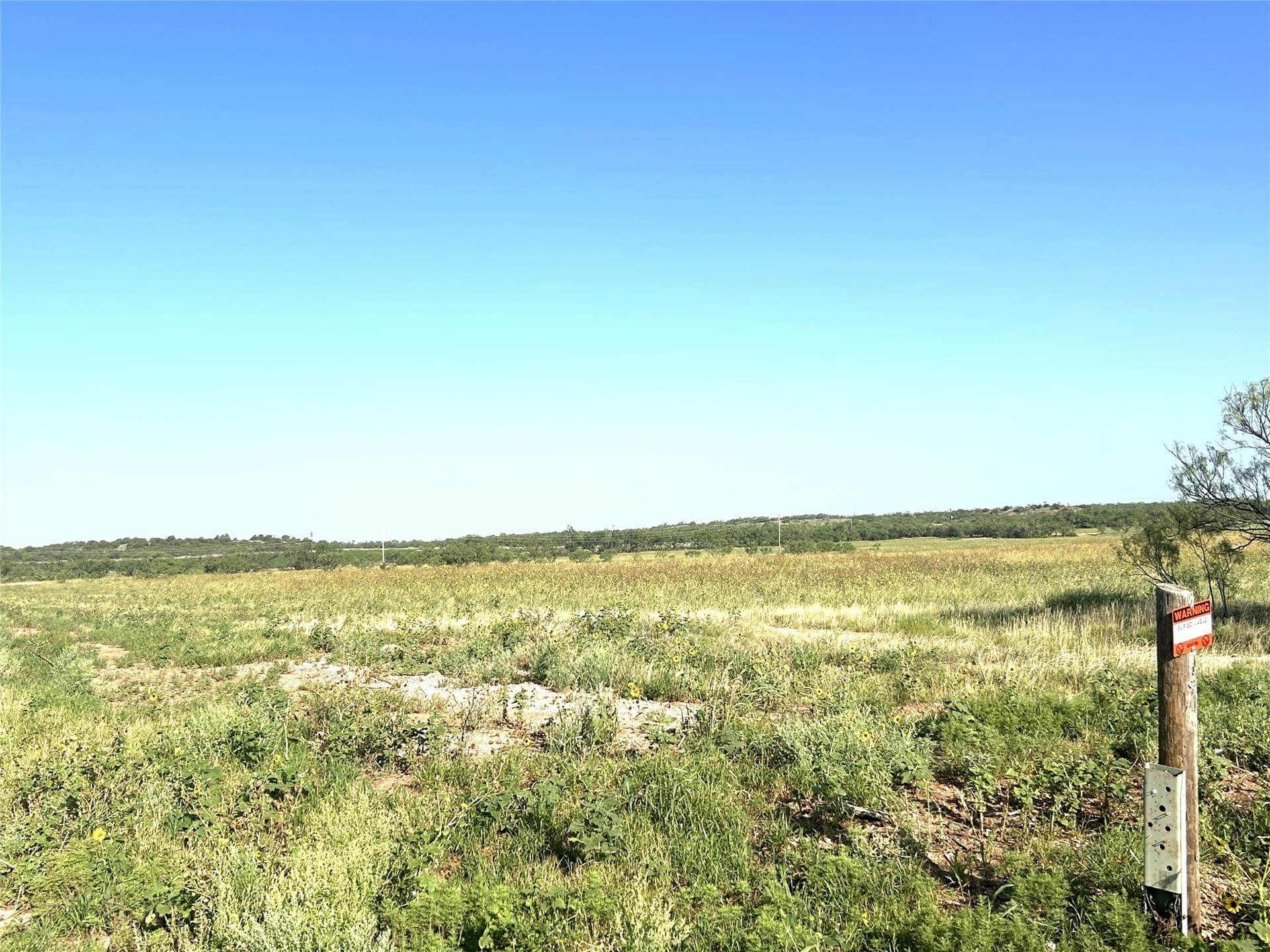 10 acres in Taylor County - photo 7