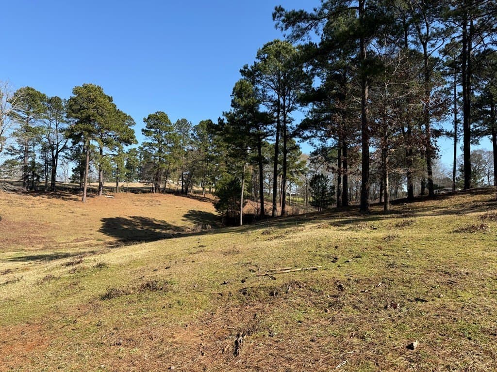 30.57 acres in Texas County gallery image 3