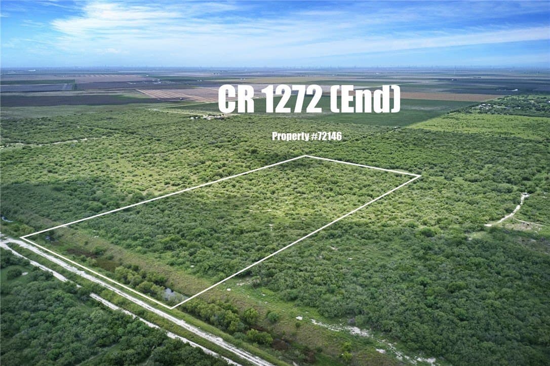 20 acres in San Patricio County gallery image 2