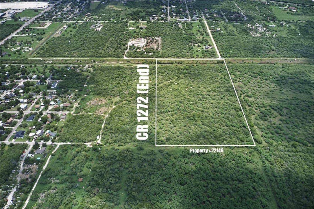 20 acres in San Patricio County gallery image 4