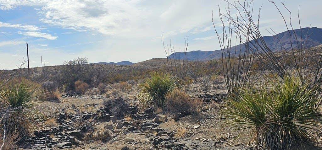 21 acres in Brewster County gallery image 2