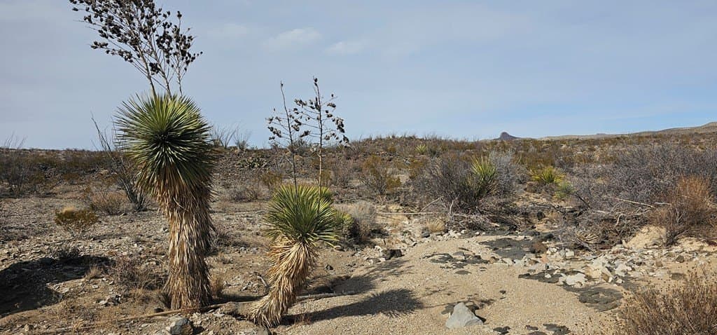 21 acres in Brewster County - photo 9