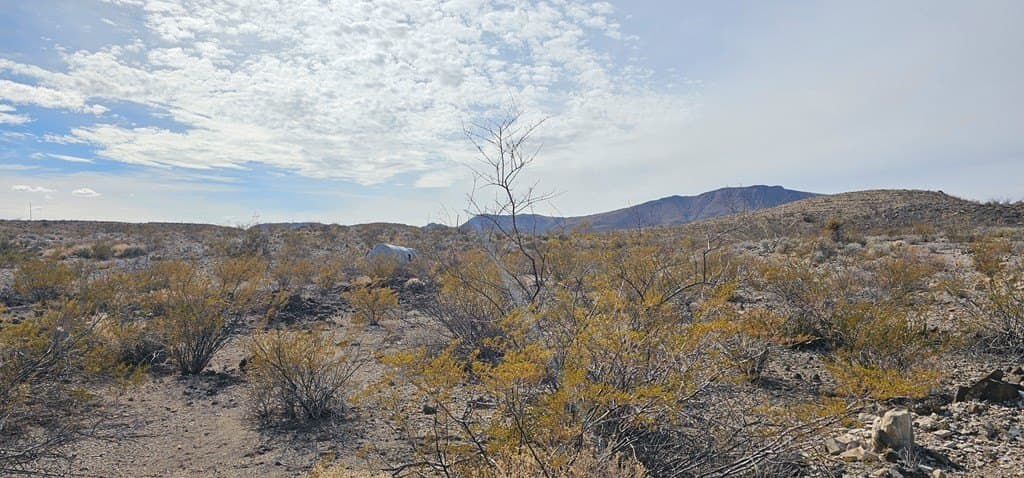 21 acres in Brewster County - photo 11