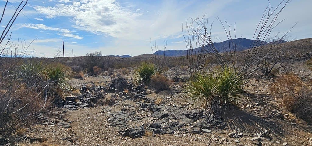 21 acres in Brewster County - photo 21