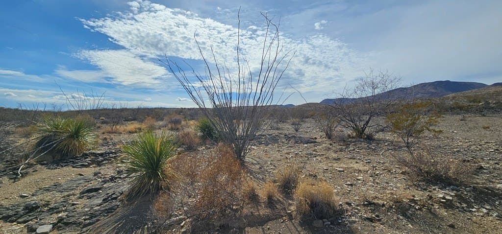 21 acres in Brewster County - photo 7
