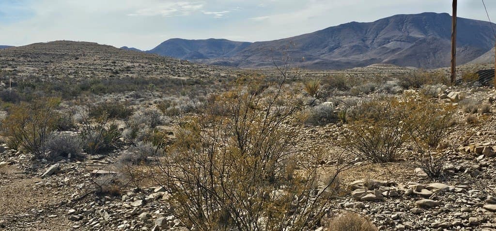 21 acres in Brewster County gallery image 4